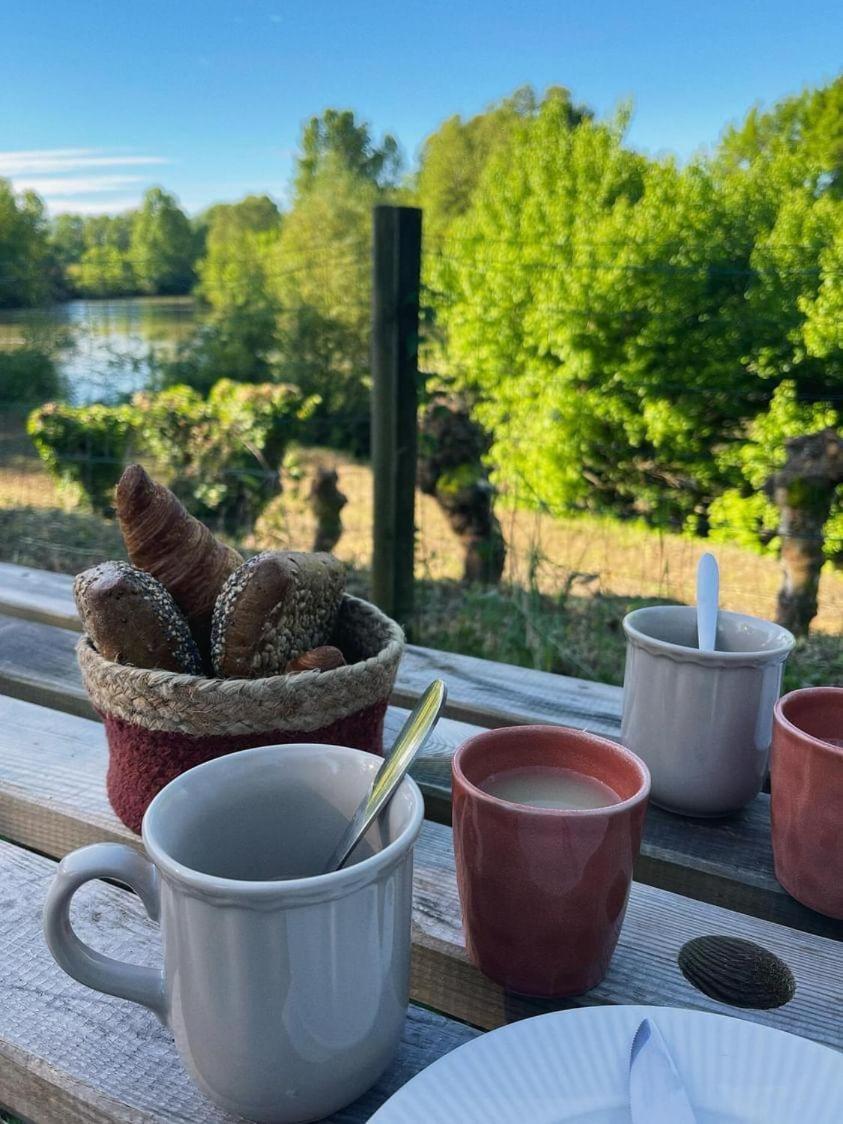 Les Nuits De Cassiopee Bed and Breakfast Sorde-lʼAbbaye Rum bild