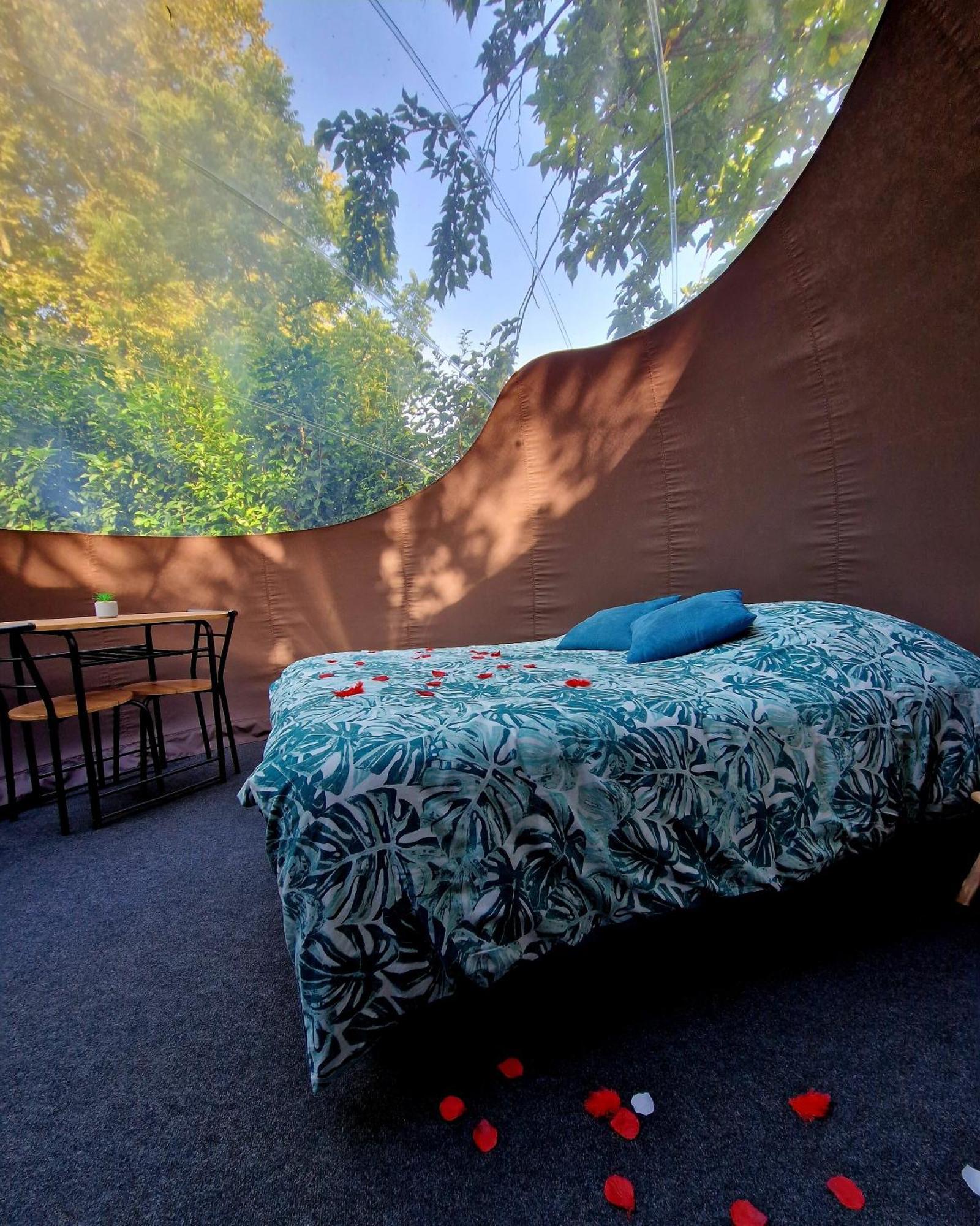Les Nuits De Cassiopee Bed and Breakfast Sorde-lʼAbbaye Rum bild